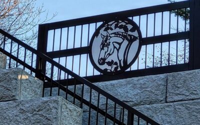Custom Metal Fencing That Fits Your Property & Your Vision